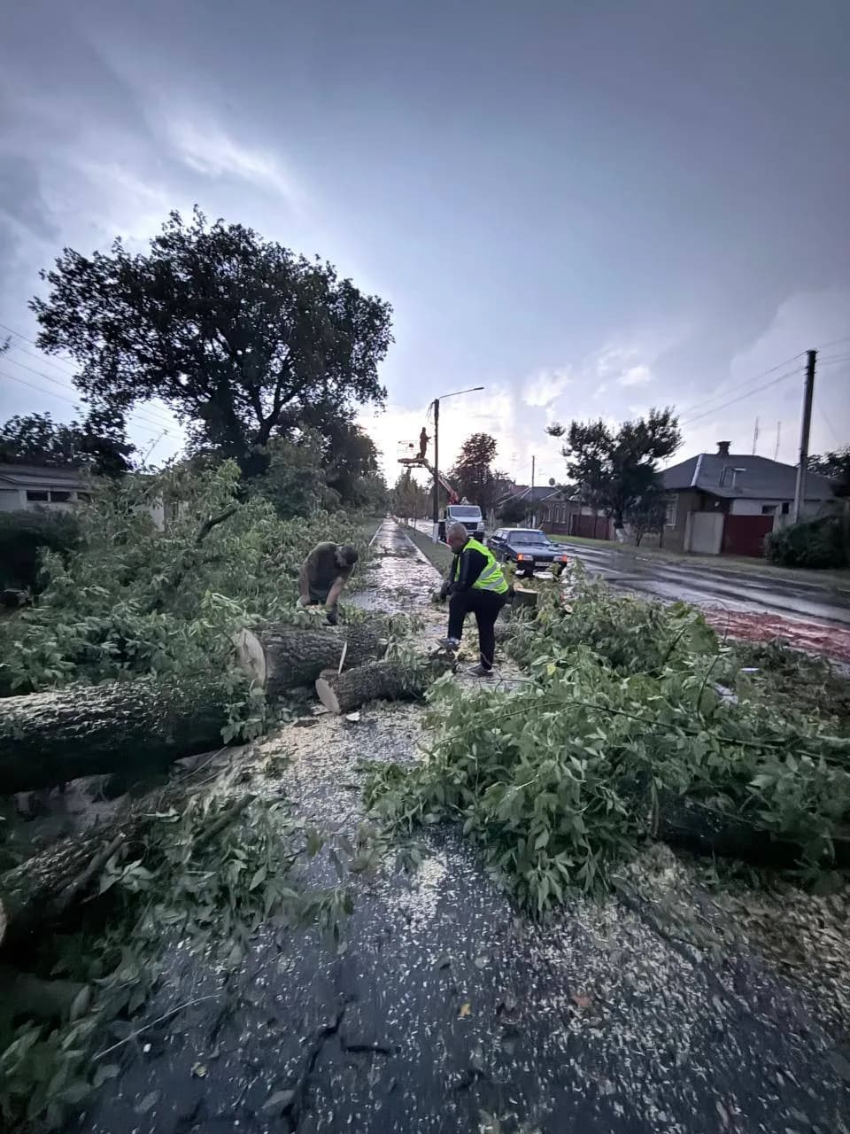 Повалені дерева та пошкоджені лінії світла: у Новобаварському районі Харкова долають наслідки негоди 