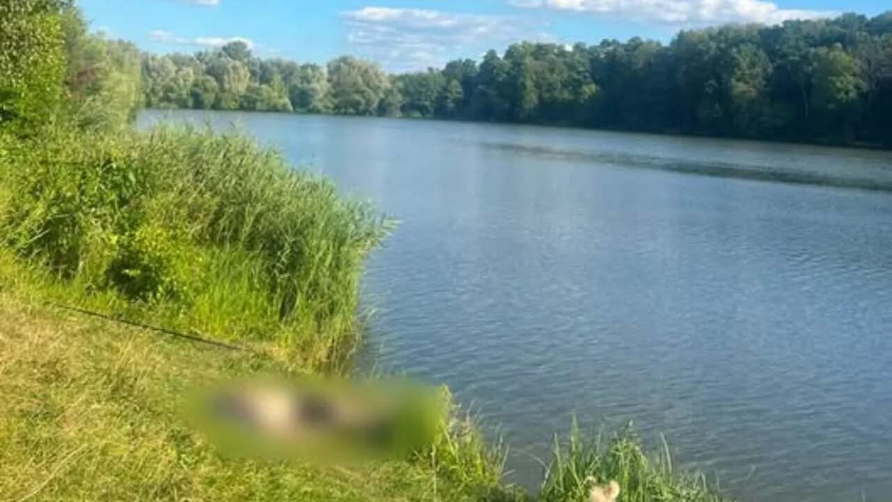 Трагедія на водоймі: у Люботині від удару струмом загинув 25-річний рибалка
